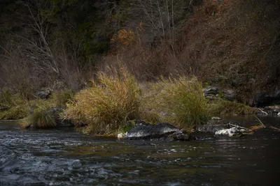 DSC_0213 (Large).JPG